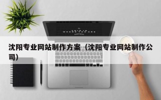 迁西沈阳专业网站制作方案（沈阳专业网站制作公司）